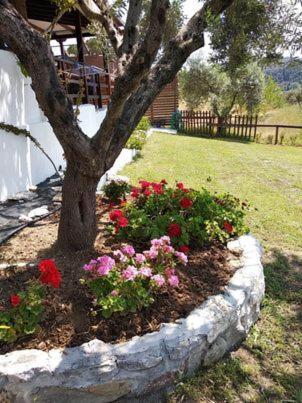 Ases Villa Lagonisi Halkidiki Ormos Panagias Exterior foto